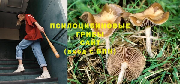 спиды Баксан