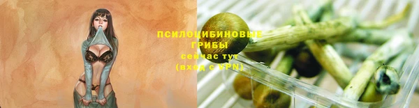 соль ск Балабаново