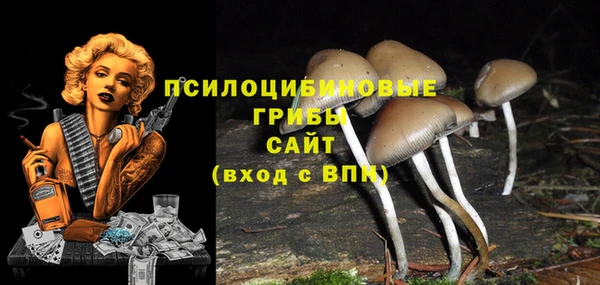 соль ск Балабаново